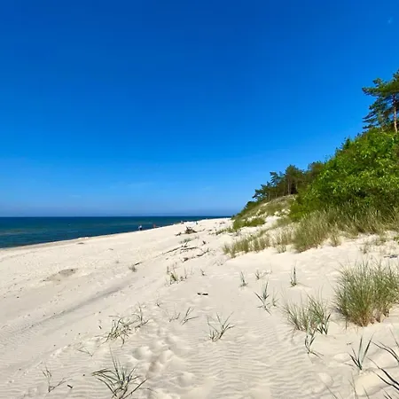 Apartment Lesna Wiselka