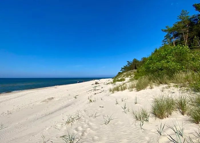 Apartment Lesna Wiselka